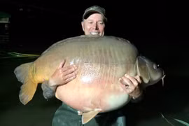 "Thủy quái" cá chép siêu to khủng lồ hơn nửa tạ cắn câu cần thủ