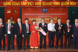 Đại hội Đảng bộ Chi nhánh Ngân hàng Nông nghiệp và PTNT tỉnh Gia Lai