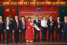 Đại hội Đảng bộ Chi nhánh Ngân hàng Nông nghiệp và PTNT tỉnh Gia Lai