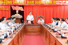 Đoàn công tác của Ban Bí thư làm việc với Ban Thường vụ Tỉnh ủy