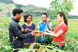 Giảm nghèo vùng đồng bào dân tộc thiểu số tại Gia Lai: Kết hợp nhiều giải pháp căn cơ, đồng bộ