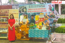 Giới thiệu nông sản sạch đến với người tiêu dùng