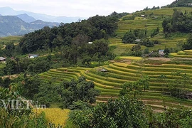 Hà Giang ưu tiên phát triển sản phẩm du lịch mang bản sắc văn hóa