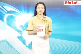 Gia Lai 48h: Tiếp tục tạo nguồn cán bộ nữ