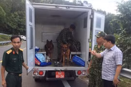 100 chiến sĩ Đà Nẵng trắng đêm truy lùng phạm nhân trốn trại