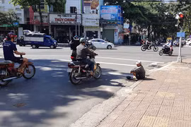 Người ăn xin ngồi bệt ngay ngã tư đường phố Pleiku