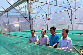 Ðắk Lắk phát triển hợp tác xã nông nghiệp