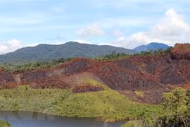 Kon Tum: Điều tra vụ cháy hơn 12ha rừng thông ở huyện Kon Plông