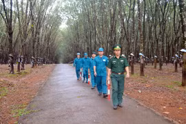 Cựu chiến binh góp sức bảo vệ an ninh trật tự