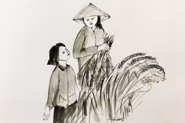 Những con đường