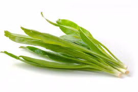 Lợi ích tuyệt vời của lá ngò gai