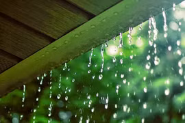 Nắng mưa là chuyện của trời?