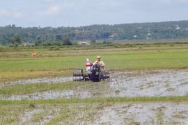 Ia Grai đẩy nhanh tiến độ gieo trồng vụ mùa