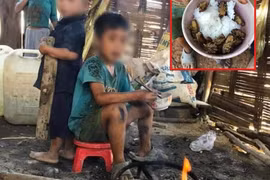 Người chụp ảnh "trẻ em vùng sâu ăn cơm ve sầu" lên tiếng