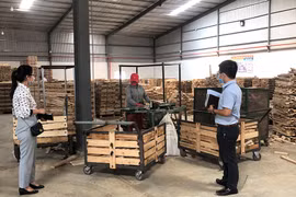 Gia Lai: Thu thập thông tin cung cầu lao động