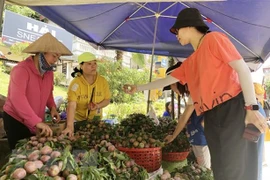 Mận Tam hoa vào chính vụ thu hút khách du lịch thập phương