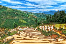 Mùa nước đổ Y Tý: 'Nấc thang lên thiên đường' giữa lưng chừng trời