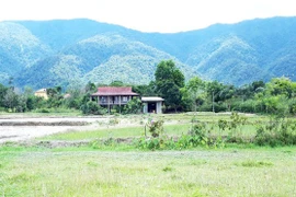 Trở lại 'điểm nóng' da cam