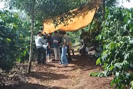 Ia Grai: Phát hiện 1 phụ nữ tử vong trong vườn cà phê