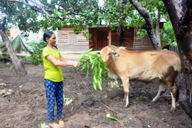 Công tác giảm nghèo trong đồng bào dân tộc thiểu số ở Chư Prông: Những chuyển biến tích cực