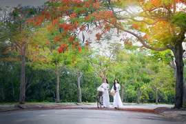 Mùa hoa phượng cuối cùng