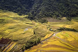 Vẻ đẹp cánh đồng ruộng bậc thang trải dài xã vùng cao ở Hòa Bình