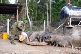 Đồn Biên phòng Ia Pnôn tăng gia để cải thiện đời sống