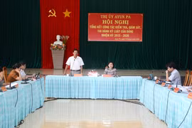 Ayun Pa: Thi hành kỷ luật 2 tổ chức Đảng và 31 đảng viên