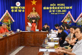 Hội nghị điển hình tiên tiến Hội Chữ thập đỏ TP. Pleiku lần thứ V