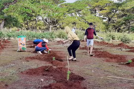 Ra quân "Tết trồng cây-Đời đời nhớ ơn Bác Hồ"