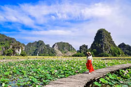 Khám phá đầm sen được mệnh danh đẹp nhất Việt Nam