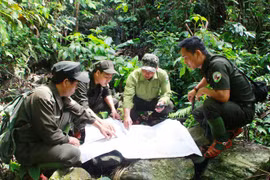 Đi tìm Kỳ lân châu Á:​ Hồn thiêng giữ rừng xanh