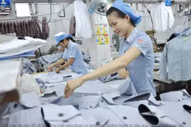 Hàng Việt 'đi' châu Âu bằng EVFTA từ 1-8