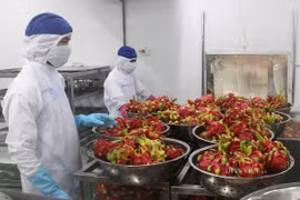 Nông sản Việt và cuộc đua vào thị trường toàn cầu 15.000 tỷ USD