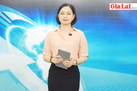 Gia Lai 48h: Tập trung tiêm vắc xin phòng Covid-19 nhanh, an toàn