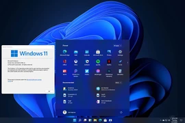 Có nên tải xuống Windows 11 bây giờ?