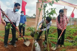 Mang Yang phát động Tết trồng cây "Đời đời nhớ ơn Bác Hồ"