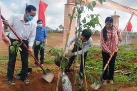 Mang Yang phát động Tết trồng cây "Đời đời nhớ ơn Bác Hồ"