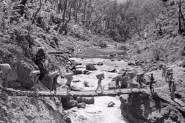 Hồi ức chiến tranh kỳ 2: Chuyện trong căn cứ