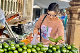 Bơ mất mùa, rớt giá