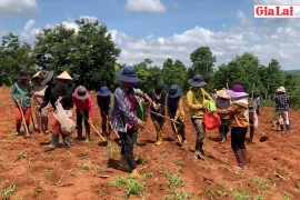 Ngày hội gây quỹ của phụ nữ làng Blên