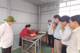 Krông Pa xác lập quyền sở hữu cho đặc sản