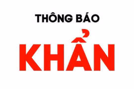 Tìm người từng đến các địa điểm tại phường 8, quận 11