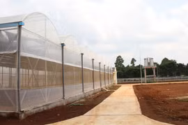 Trại thực nghiệm hàng chục tỉ xây xong rồi bỏ không