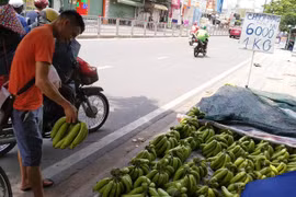 Giá chuối rớt thảm khi Trung Quốc thừa cung