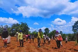 Khi sức người cộng hưởng