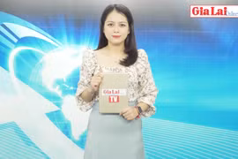 Gia Lai 48h: Tiếp tục điều hành giá thận trọng, linh hoạt