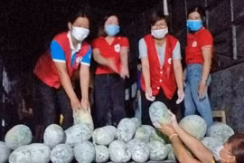 Gia Lai hỗ trợ gần 16 tấn rau quả cho người dân vùng dịch tại TP. Hồ Chí Minh