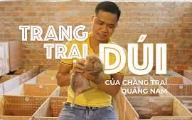 Bỏ phố về quê nuôi dúi, chàng trai Quảng Nam thu cả trăm triệu mỗi năm