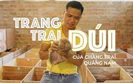 Bỏ phố về quê nuôi dúi, chàng trai Quảng Nam thu cả trăm triệu mỗi năm